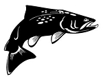 Trout v4 Decal Sticker